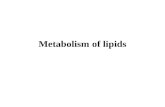 Metabolism of lipids. Course Content Digestion and absorption of lipids Triacylglycerol metabolism Phospholipid metabolism Cholesterol metabolism plasma.