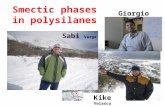 Smectic phases in polysilanes Sabi Varga Kike Velasco Giorgio Cinacchi.