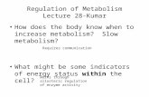 Regulation of Metabolism Lecture 28-Kumar How does the body know when to increase metabolism? Slow metabolism? What might be some indicators of energy.