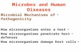 Microbes and Human Diseases Microbial Mechanisms of Pathogenicity How microorganisms enter a host How microorganisms penetrate host defenses How microorganisms.