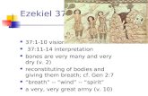Ezekiel 37 (1) 37:1-10 vision 37:11-14 interpretation bones are very many and very dry (v. 2) reconstituting of bodies and giving them breath; cf. Gen.