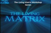 The Living Matrix Workshop Genes. Genes dictate life, don’t they? There is a central dogma of biology that genes govern our fate:  Inherited characteristics.