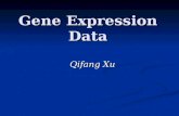 Gene Expression Data Qifang Xu. Outline cDNA Microarray Technology cDNA Microarray Technology Data Representation Data Representation Statistical Analysis.