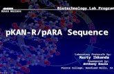 PKAN-R/pARA Sequence Biotechnology Lab Program Laboratory Protocols by: Marty Ikkanda Powerpoint by: Anthony Daulo Pierce College, Woodland Hills, CA V.1.2.4.