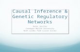 Causal Inference & Genetic Regulatory Networks Peter Spirtes Carnegie Mellon University With slides from Lizzie Silver.