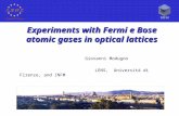 Experiments with Fermi e Bose atomic gases in optical lattices Giovanni Modugno LENS, Università di Firenze, and INFM XXVII Convegno di Fisica Teorica,
