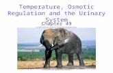 Temperature, Osmotic Regulation and the Urinary System Chapter 49.