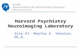 NA-MIC National Alliance for Medical Image Computing  Harvard Psychiatry Neuroimaging Laboratory Site PI: Martha E. Shenton, Ph.D.