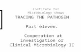 TRACING THE PATHOGEN Part eleven: Cooperation at investigation or Clinical Microbiology II Institute for Microbiology shows