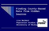 Finding County-Based Data from Hidden Sources Lisa Neidert Population Studies Center University of Michigan.