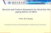 Recent and Future Research for Bird-like Flapping MAVs of NPU Prof. B.F.Song Aeronautics School of Northwestern Polytechnical University.
