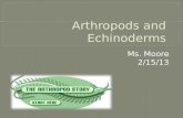 Ms. Moore 2/15/13.  Phylum: Arthropoda  What is an Arthropod? Arthropods have a segmented body, a tough exoskeleton, and jointed appendages  Exoskeleton: