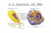 4-2 Sources of DNA. Background Nature = DNA in cells Lab= Manipulate and grow cultures of different cells to access DNA – Grow in medium – Collect and.