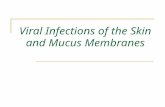 Viral Infections of the Skin and Mucus Membranes.
