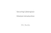 Securing Cyberspace Module Introduction Mr. Burks.