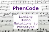 PhenCode Linking Human Mutations to Phenotype. PhenCode Brings the deep information on genotypes and phenotypes in locus specific databases (LSDBs) into.
