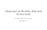 Molecules of life:DNA, RNA and Amino Acids Molecular Structure Lecture 3.