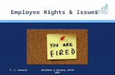 Employee Rights & Issues T. L. CeranicBusiness & Society (ETLW 302)