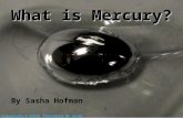 What is Mercury? By Sasha Hofman. What Are Elements? Types of atoms Make up the world Different types of atoms.