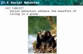 27.4 Social Behavior KEY CONCEPT Social behaviors enhance the benefits of living in a group.
