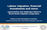 Labour migration, financial investments and more: opportunities and challenges linked to South ‐ South migration cooperation Briefing on South-South Migration.