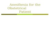 Anesthesia for the Obstetrical Patient.  The Pregnant Patient for Nonobstetric Surgery  LABOR  DELIVERY  OBSTETRICAL EMERGENCIES  SPINAL HEADACHES.