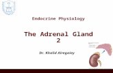 Endocrine Physiology The Adrenal Gland 2 Dr. Khalid Alregaiey.
