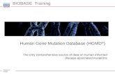 Sample to Insight BIOBASE Training Human Gene Mutation Database (HGMD ® ) The only comprehensive source of data on human inherited disease-associated mutations.