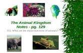 The Animal Kingdom Notes - pg. 129 EQ: What are the major functions of animals?