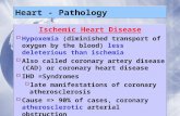 Heart - Pathology Ischemic Heart Disease  Hypoxemia (diminished transport of oxygen by the blood) less deleterious than ischemia  Also called coronary.