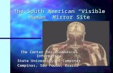The South American “Visible Human” Mirror Site The Center for Biomedical Informatics State University of Campinas Campinas, São Paulo, Brazil.