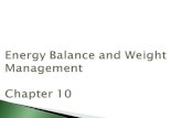 Chapter 8. Energy Intake Energy Output Energy Equilibrium Positive Energy Balance Negative Energy Balance.