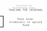 TRACING THE CRIMINAL Part nine: Criminals in spiral form Institute for microbiology shows