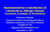 Immunotoxicity:Contribution of Chemicals to Allergic Disease Assesment, Examples, & Mechanisms MaryJane Selgrade National Health & Environmental Effects.