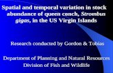 Spatial and temporal variation in stock abundance of queen conch, Strombus gigas, in the US Virgin Islands Department of Planning and Natural Resources.