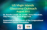 Dr. Kosoko-Lasaki, Dr. Lasaki, Tracy Monahan, Chip Monahan, Brett Briggs COA Supported by the Friends of the Congressional Glaucoma Caucus Foundation.