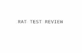 RAT TEST REVIEW. 1. What is the Genus of the rat we dissected? _________________ 2. What is the Species of the rat we dissected? _________________ 3.