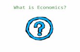 What is Economics?. The fundamental economic problem Scarcity is: the fundamental problem in economics. People and societies have unlimited wants, but.