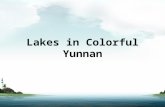 Lakes in Colorful Yunnan. Introduction The Fuxian Lake The Erhai Lake The Lugu Lake The Chenghai Lake.
