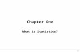 1.1 Chapter One What is Statistics?. 1.2 What is Statistics? “Statistics is a way to get information from data.”