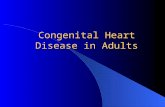 Congenital Heart Disease in Adults. Background 8/1000 Live born births 32,000 cases/yr Liveborn prevalence lower than fetal prevalence – Fetal echo.