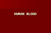 HUMAN BLOOD R.B.C Red blood cells contain a special protein called hemoglobin, which contains iron and carries the oxygen to the body Red blood cells.