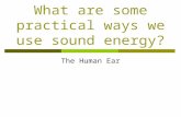 What are some practical ways we use sound energy? The Human Ear.