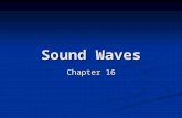 Sound Waves Chapter 16. Old Riddle If a tree falls in the middle of a forest and no one is around, does it make a sound? If a tree falls in the middle.