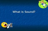 What is Sound?. Every sound is produced by something that vibrates. Example: When you speak, the vocal cords in your throat vibrate. These vibrations.