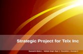 Strategic Project for Telx Inc Gururaj B, Marta L, Mehtab Singh, Rajni J, Roushelle L, Arunraja N.