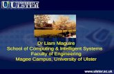 Dr Liam Maguire School of Computing & Intelligent Systems Faculty of Engineering Magee Campus, University of Ulster.