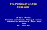 The Pathology of Anal Neoplasia Dr Bryan F Warren Consultant Gastrointestinal Pathologist, Honorary Senior Lecturer and Fellow of Linacre College, Oxford.