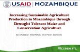 Increasing Sustainable Agriculture Production in Mozambique through Drought Tolerant Maize and Conservation Agriculture By Christian Thierfelder and Peter.