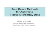 Tree Based Methods for Analyzing Tissue Microarray Data Steve Horvath Human Genetics and Biostatistics University of California, Los Angeles.